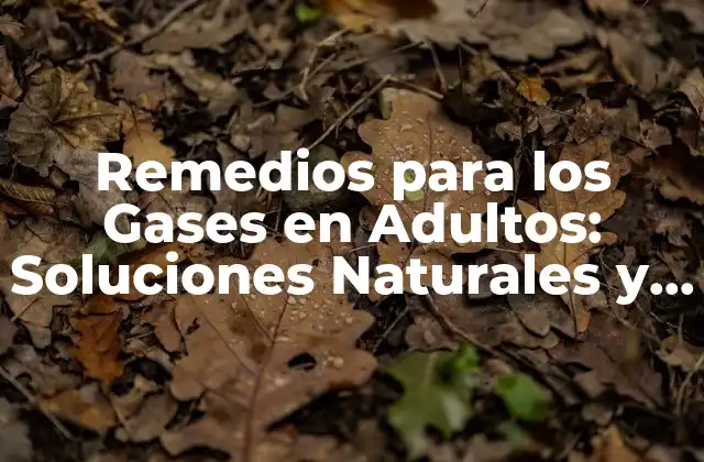 Remedios para los Gases en Adultos: Soluciones Naturales y Efectivas