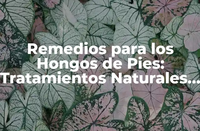 Remedios para los Hongos de Pies: Tratamientos Naturales y Efectivos