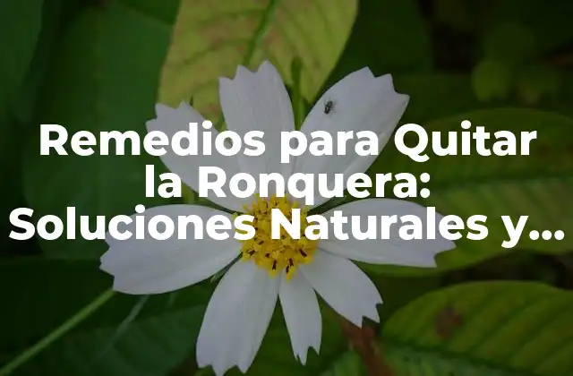 Remedios para Quitar la Ronquera: Soluciones Naturales y Efectivas