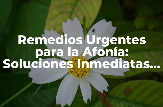 Remedios Urgentes para la Afonía: Soluciones Inmediatas para Recuperar Tu Voz