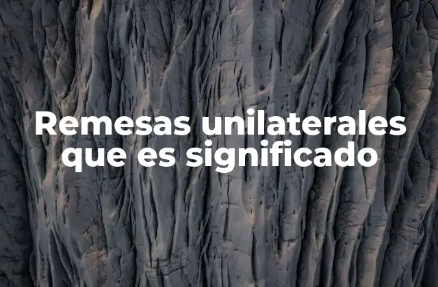 Remesas Unilaterales que es Significado