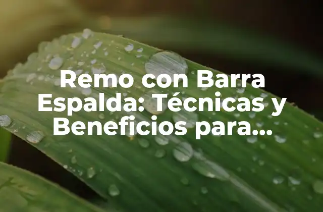 Remo con Barra Espalda: Técnicas y Beneficios para Fortalecer Tu Espalda