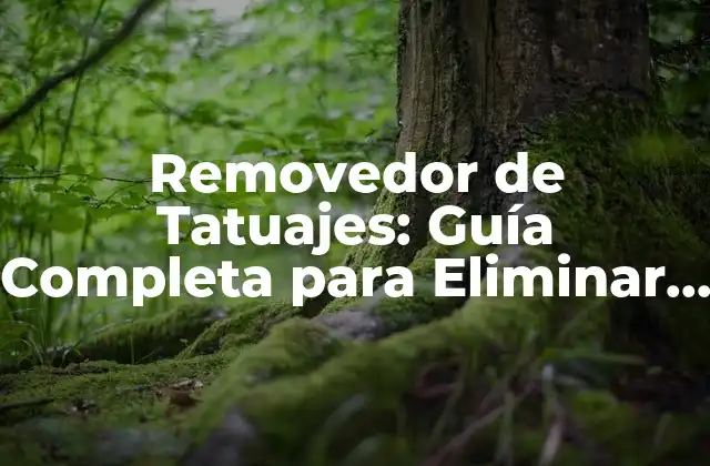 Removedor de Tatuajes: Guía Completa para Eliminar Tatuajes Indeseados