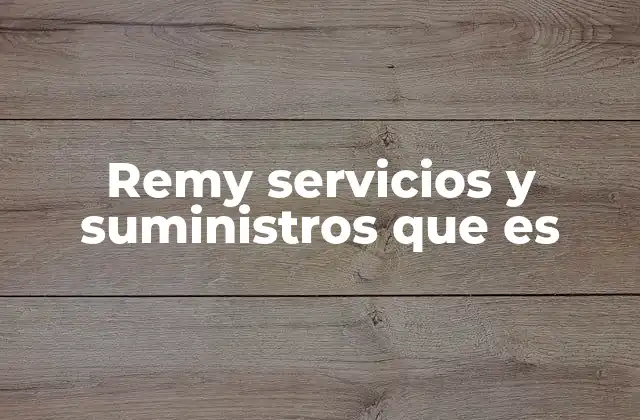 Remy Servicios y Suministros que es
