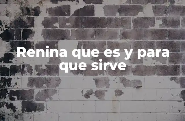 Renina que es y para que Sirve 2 El papel de la renina en la regulación de la presión arterial