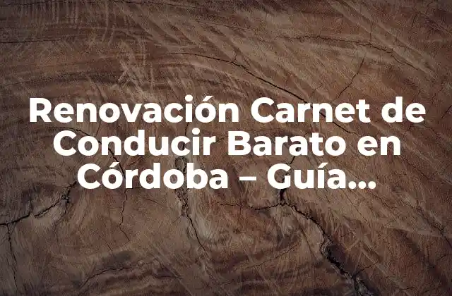 Renovación Carnet de Conducir Barato en Córdoba – Guía Completa