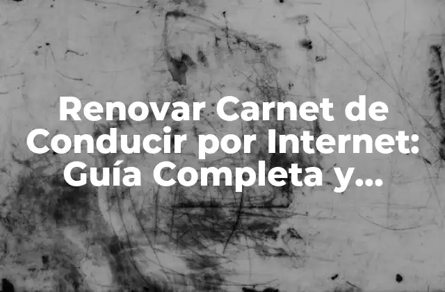 Renovar Carnet de Conducir por Internet: Guía Completa y Actualizada