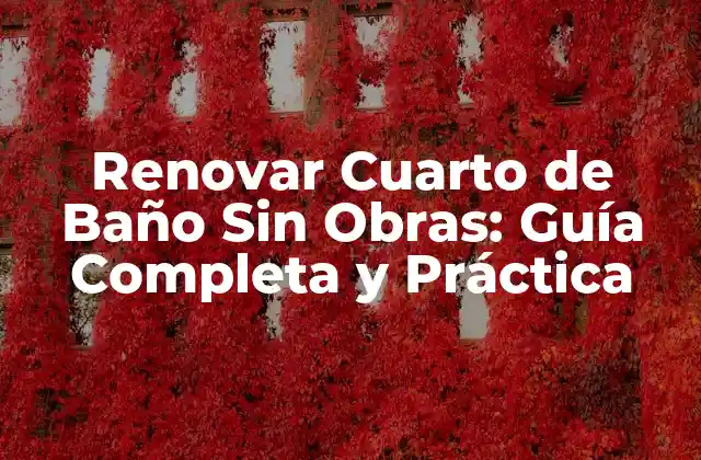 Renovar Cuarto de Baño sin Obras: Guía Completa y Práctica