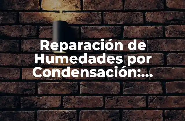 Reparación de Humedades por Condensación: Soluciones Eficientes