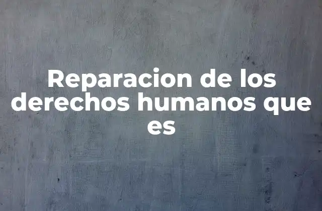 Reparacion de los Derechos Humanos que es