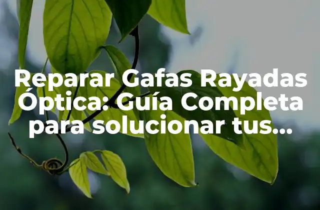 Reparar Gafas Rayadas Óptica: Guía Completa para Solucionar Tus Problemas de Visión