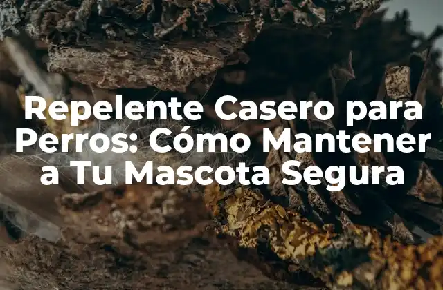 Repelente Casero para Perros: Cómo Mantener a Tu Mascota Segura