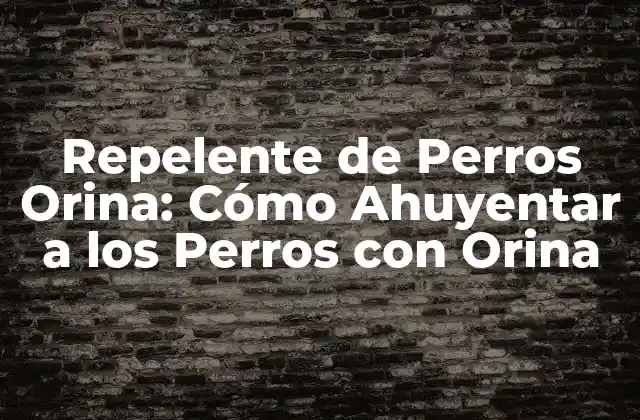 Repelente de Perros Orina: Cómo Ahuyentar a los Perros con Orina