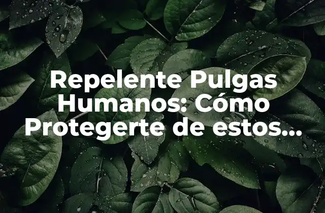 Repelente Pulgas Humanos: Cómo Protegerte de Estos Insectos Indeseables