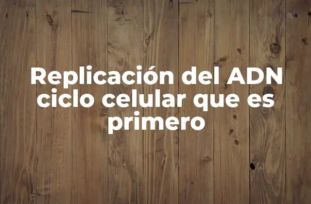 Replicación Del Adn Ciclo Celular que es Primero