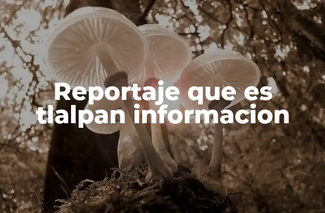 Reportaje que es Tlalpan Informacion