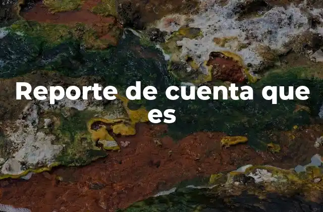 Reporte de Cuenta que es