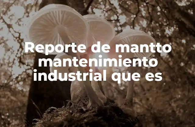Reporte de Mantto Mantenimiento Industrial que es