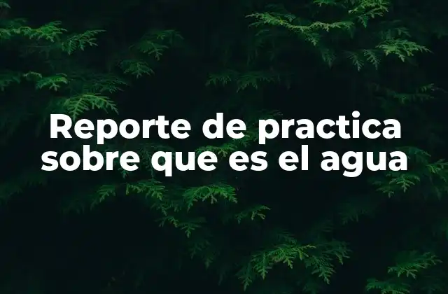 El agua como recurso natural esencial