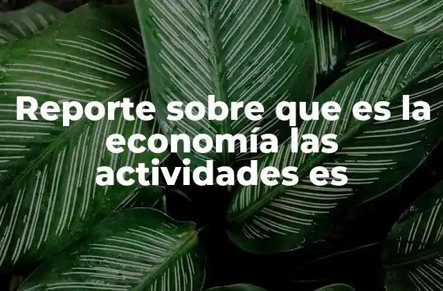 Reporte sobre que es la Economía las Actividades es