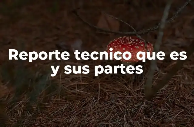 Reporte Tecnico que es y Sus Partes
