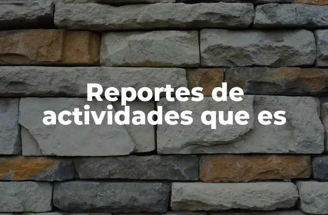 Reportes de Actividades que es