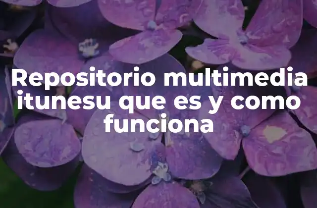 Repositorio Multimedia Itunesu que es y como Funciona
