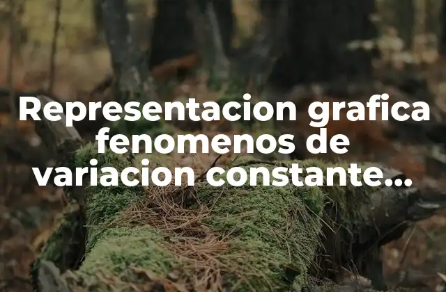 Representacion Grafica Fenomenos de Variacion Constante que es