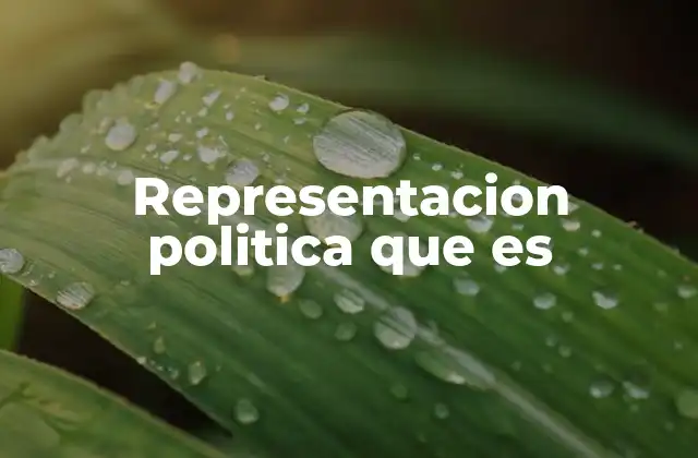Representacion Politica que es