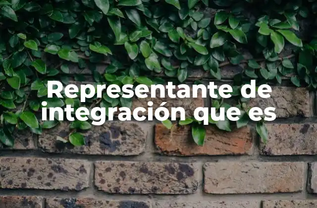 Representante de Integración que es