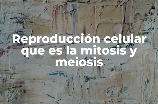 Reproducción Celular que es la Mitosis y Meiosis