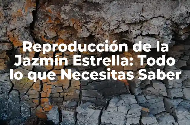 Reproducción de la Jazmín Estrella: Todo Lo que Necesitas Saber