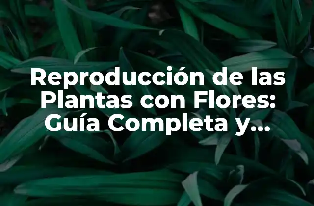 Reproducción de las Plantas con Flores: Guía Completa y Detallada