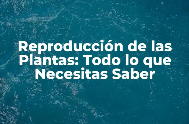 Reproducción de las Plantas: Todo Lo que Necesitas Saber