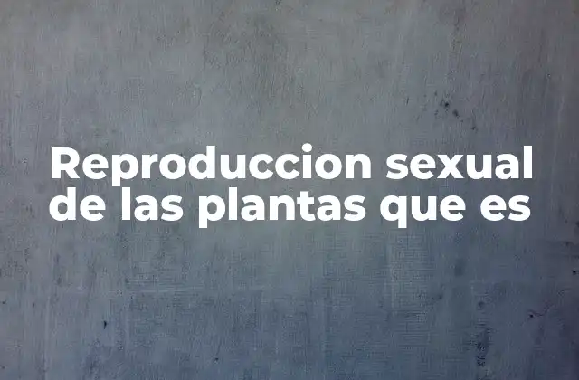Reproduccion Sexual de las Plantas que es