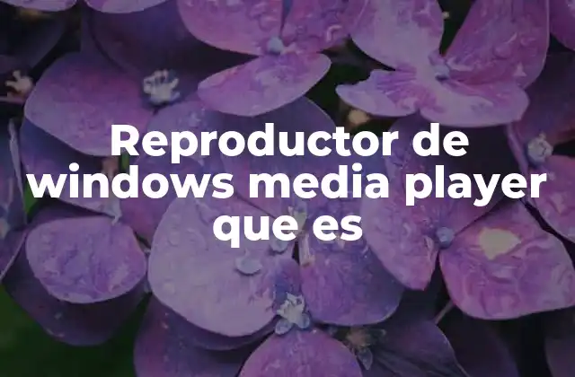 Reproductor de Windows Media Player que es