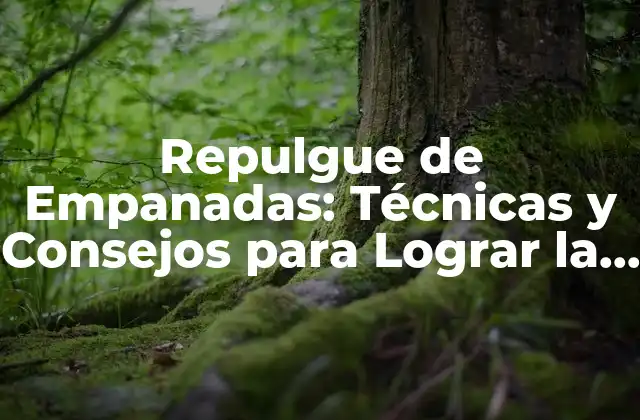 Repulgue de Empanadas: Técnicas y Consejos para Lograr la Perfección
