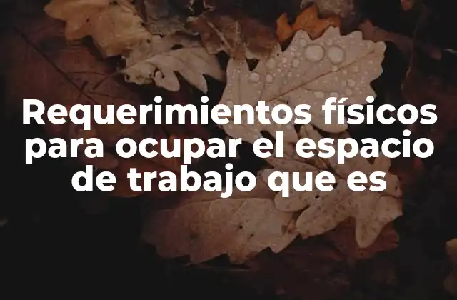 Requerimientos Físicos para Ocupar el Espacio de Trabajo que es