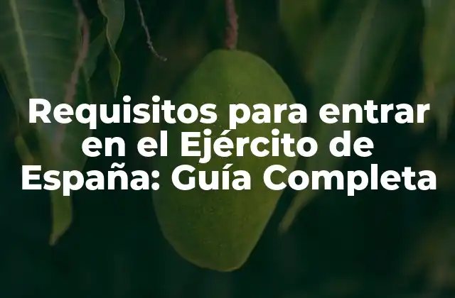 Requisitos para Entrar en el Ejército de España: Guía Completa
