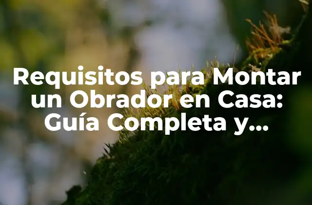 Requisitos para Montar un Obrador en Casa: Guía Completa y Actualizada