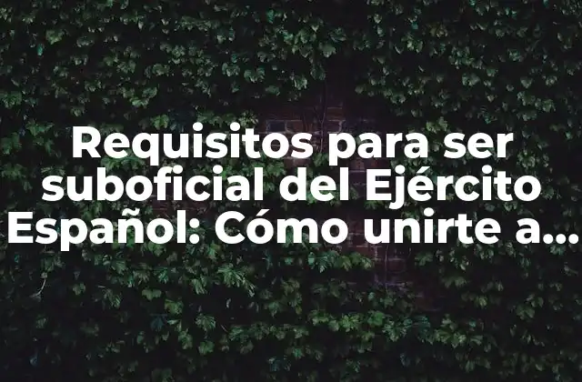Requisitos para Ser Suboficial Del Ejército Español: Cómo Unirte a las Fuerzas Armadas