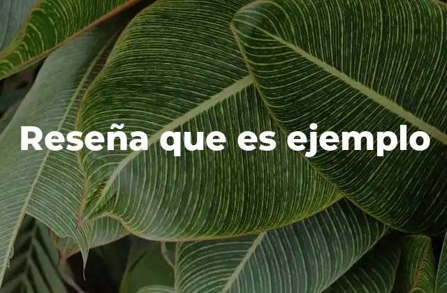 Reseña que es Ejemplo