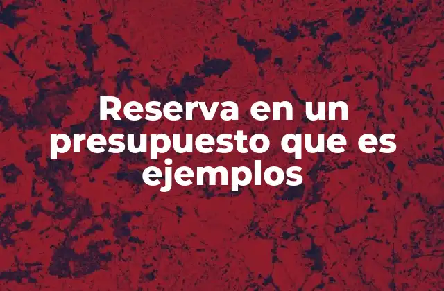 Reserva en un Presupuesto que es Ejemplos