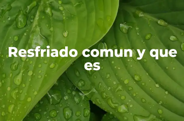 Resfriado Comun y que es