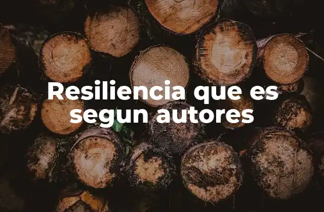 Resiliencia que es Segun Autores