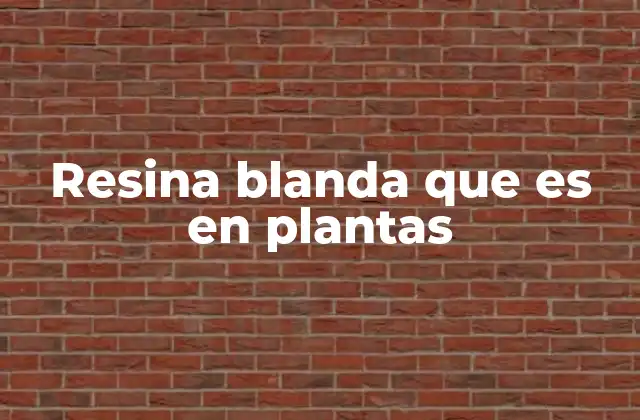 El papel de las resinas en la vida vegetal