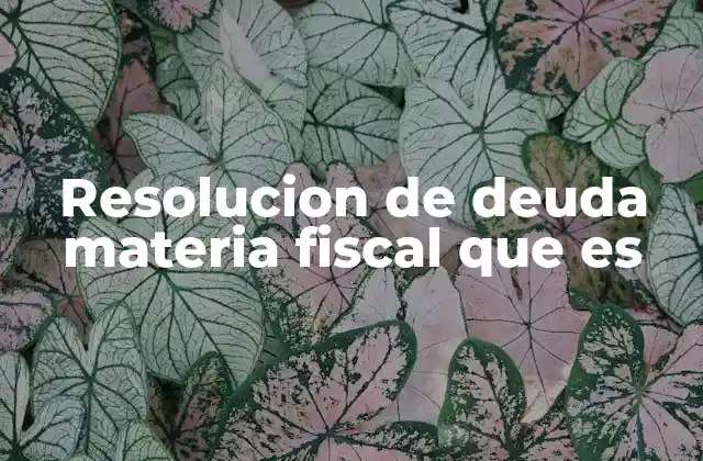 Resolucion de Deuda Materia Fiscal que es