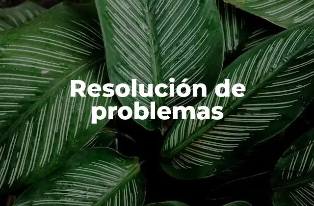 Resolución de Problemas