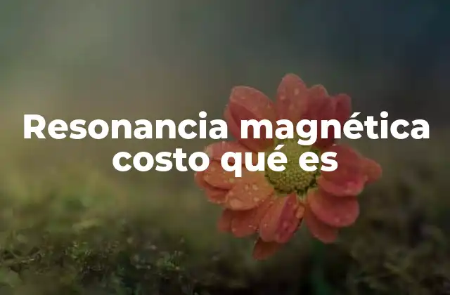 Resonancia Magnética Costo Qué es