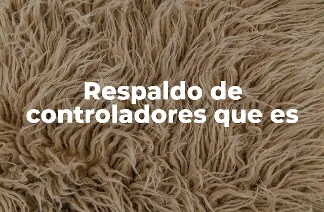 Respaldo de Controladores que es 2 La importancia de mantener controladores actualizados y respaldados